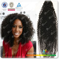 wholesale afro kinky hair extensions ,cheap 100% human hair clip in hair extension